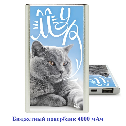 Бюджетный повербанк 4000 мАч.jpg